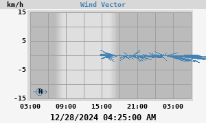 Wind Vector